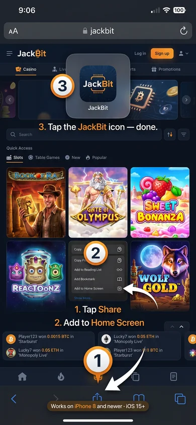 How to install JackBit on iPhone – JackBit